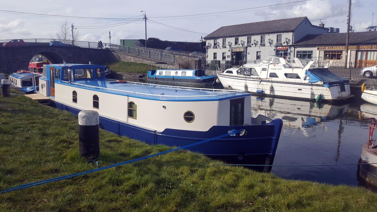 Roisin Dubh Houseboat Otel Sallins Dış mekan fotoğraf